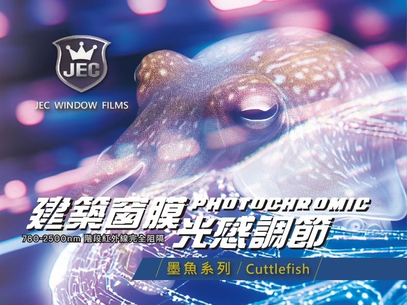 C.C 墨魚系列